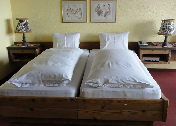 Berg & Bett Saentis 3* Wildhaus-Alt St. Johann