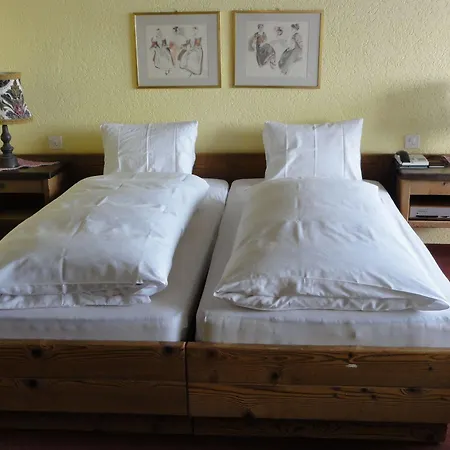 호텔 Berg & Bett Saentis Wildhaus-Alt St. Johann